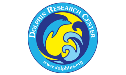 Dolphin Research Icon