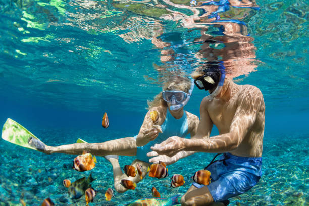 Picture of underwater Snorkeling