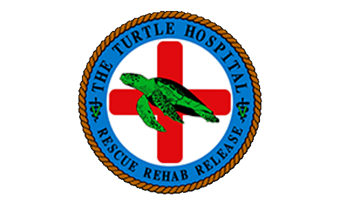 Turtle Hospital Logo